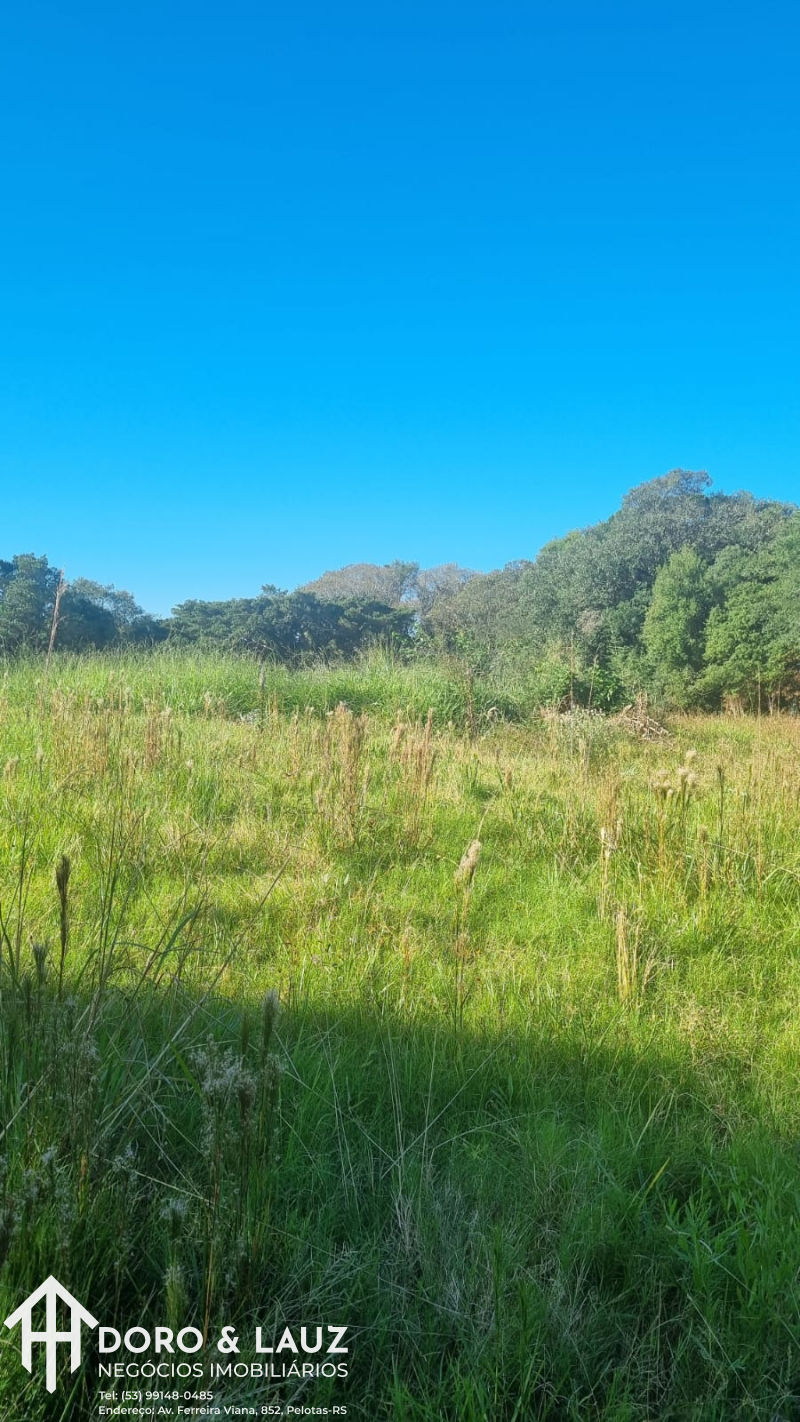 PELOTAS/RS