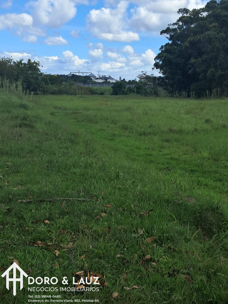 PELOTAS/RS