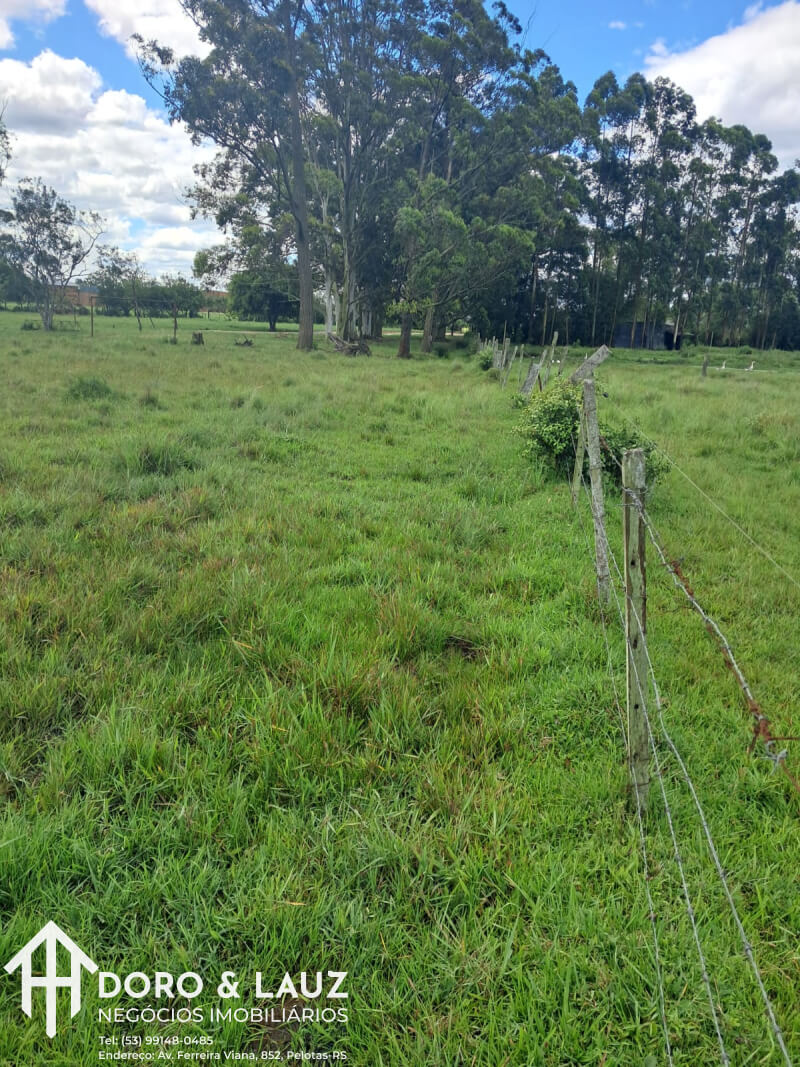 PELOTAS/RS